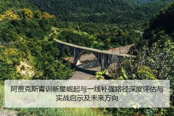 a-jia-ke-si-qing-xun-xin-xing-jue-qi-yu-yi-xian-bu-qiang-lu-jing-shen-du-ping-gu-yu-shi-zhan-qi-shi-ji-wei-lai-fang-2-325.jpg