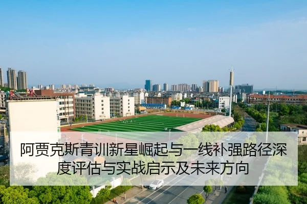阿贾克斯青训新星崛起与一线补强路径深度评估与实战启示及未来方向